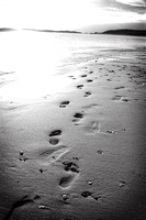 00240 Ftprints LLanddwyn beach