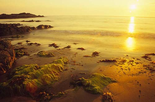 Sandy Beach Sunset