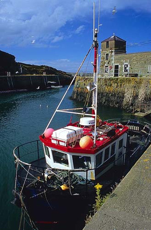Amlwch Port Trawler